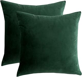 Velvet Cushion Covers